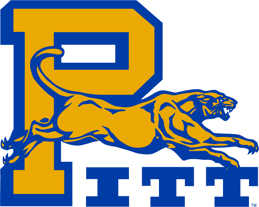 Pittsburgh Panthers 1974-1987 Alternate Logo diy iron on heat transfer